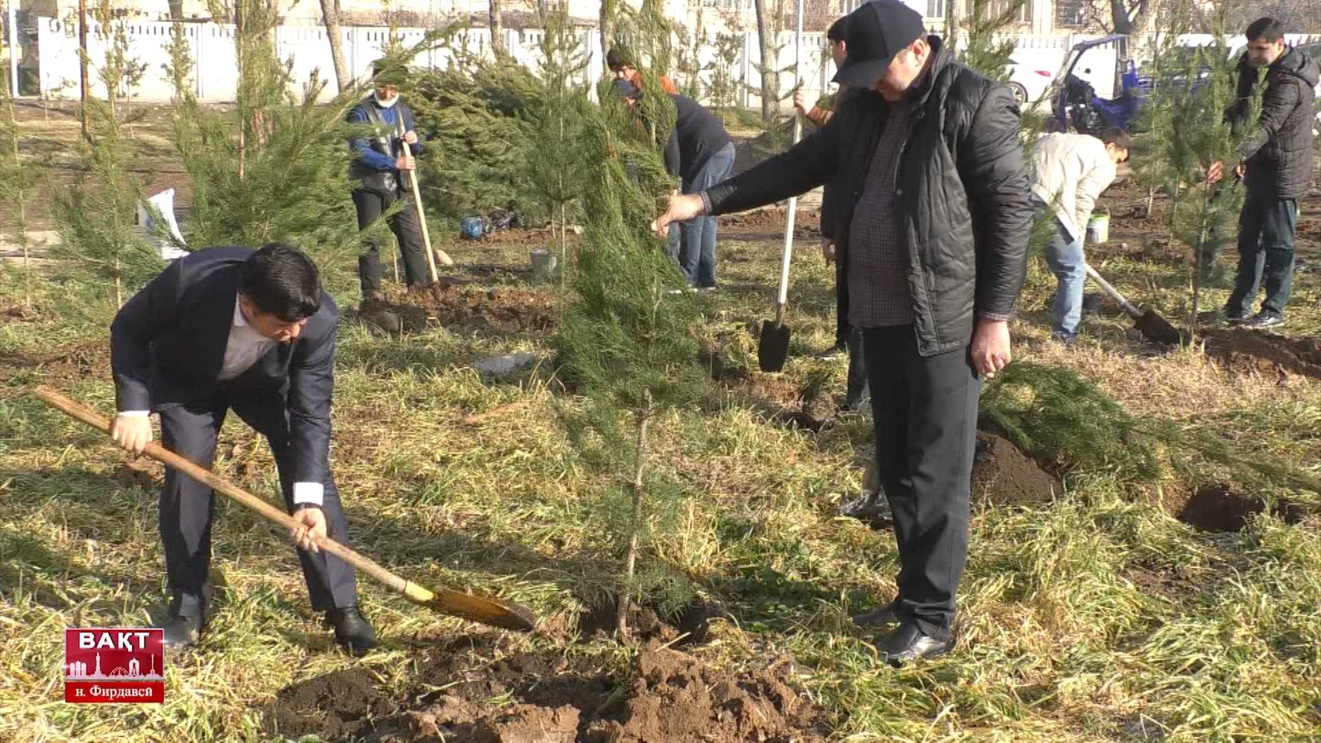 Кормандони Суди шаҳри Душанбе беш аз 300 бех ниҳоли сояафкану ороишӣ шинониданд