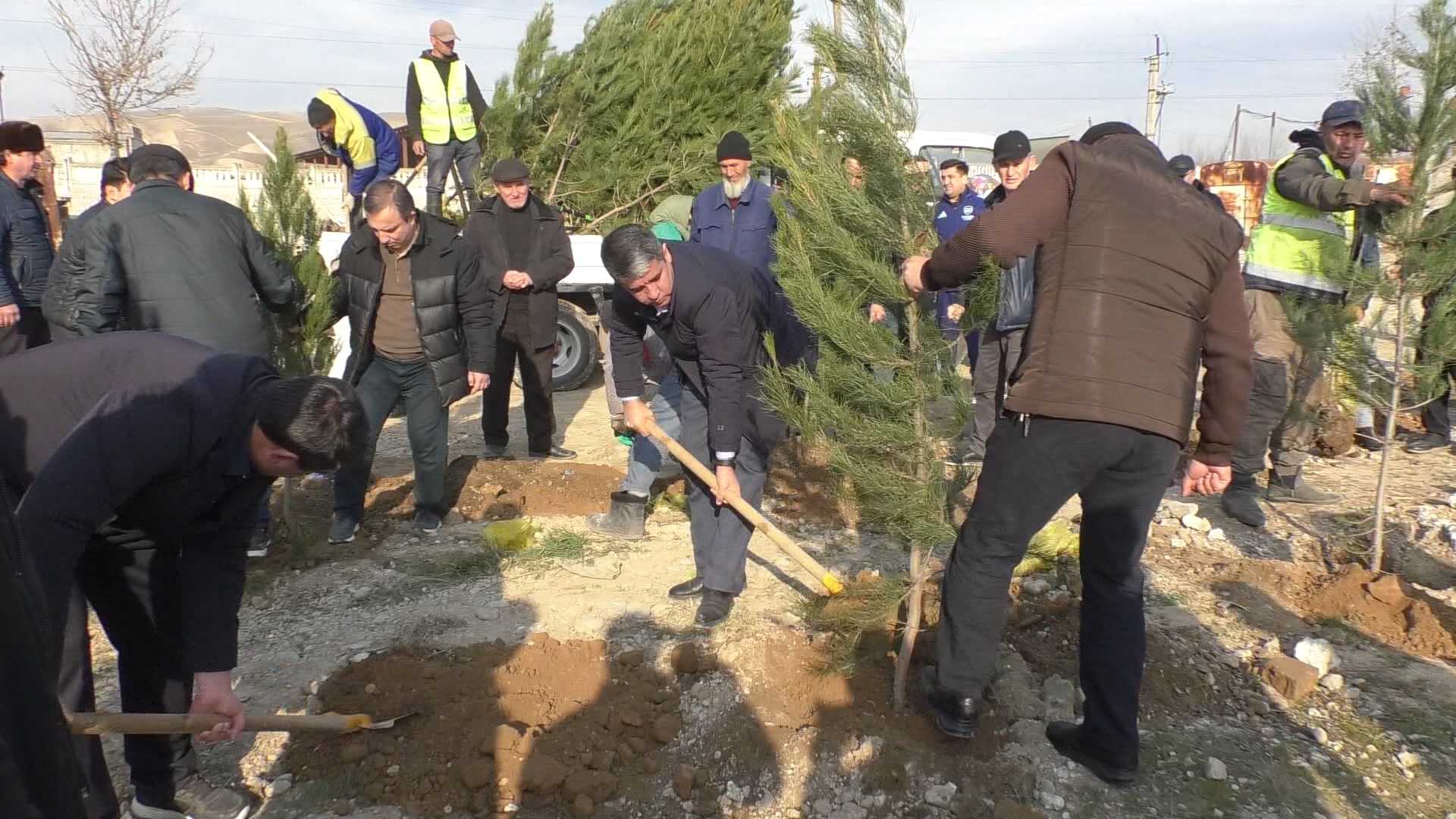 Роҳбарият ва кормандони МИҲД ноҳияи Фирдавсӣ дар маҳаллаи Дарёобод шумораи зиёди дарахтони сояафканро шинониданд