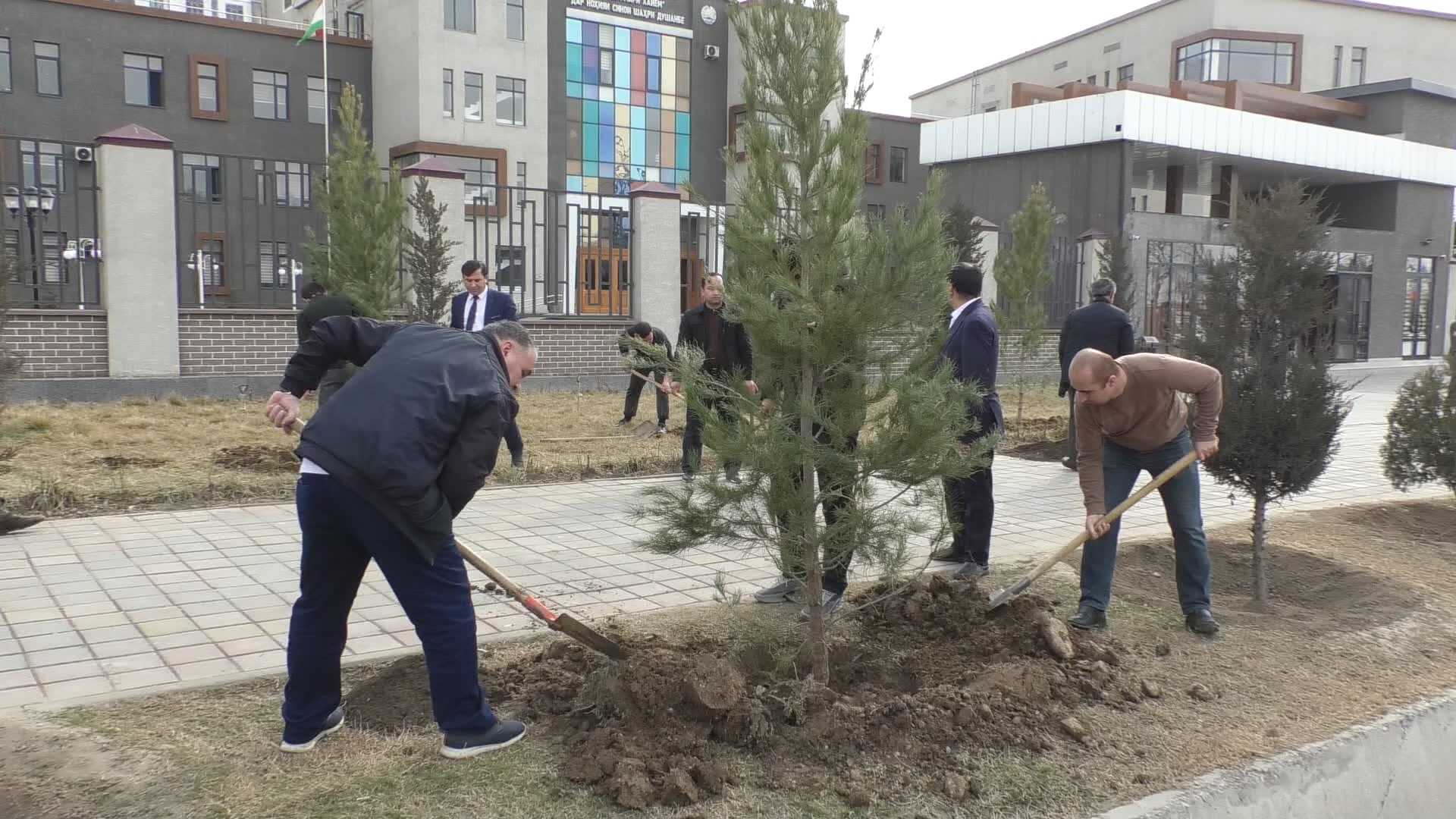 Дар "Литсейи Умари Хайём" шумораи зиёди дарахтон шинонида шуд