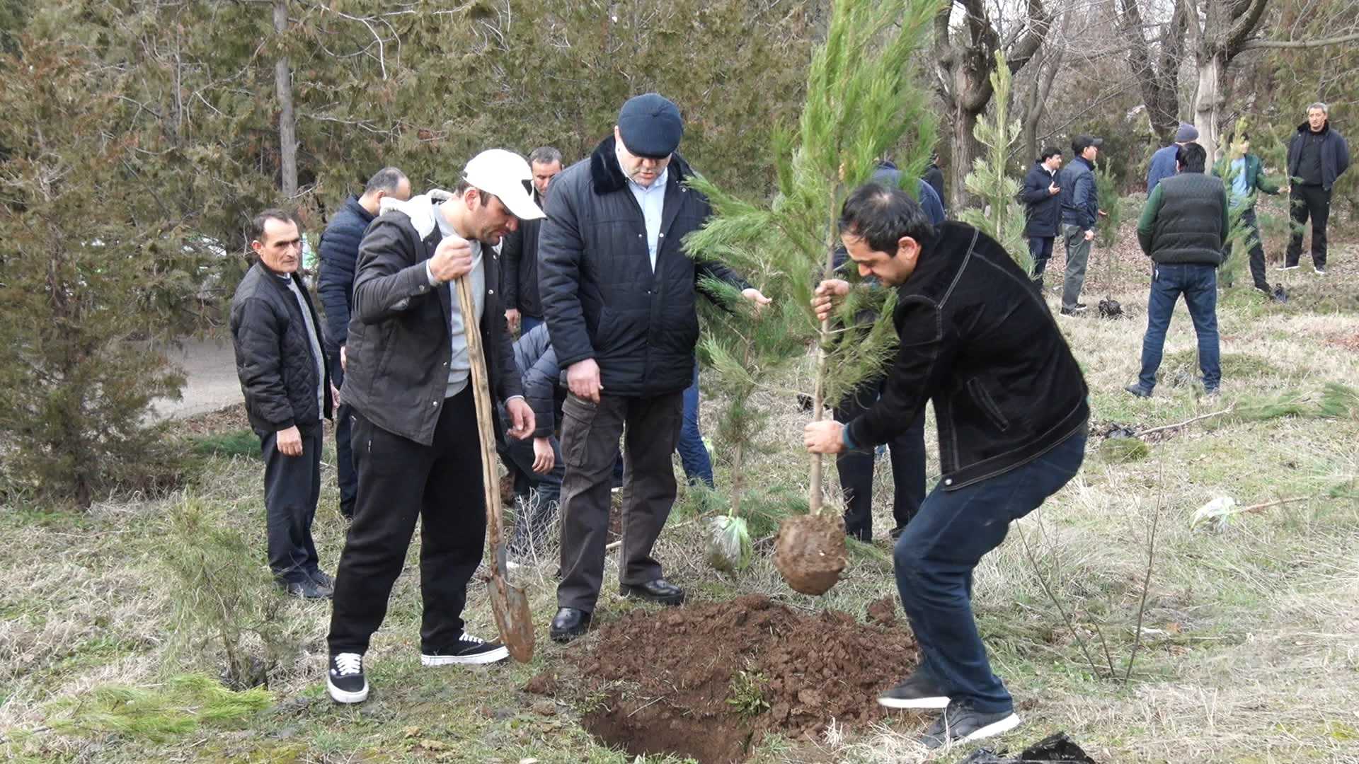 Ба хотири саҳмгузорӣ дар корҳои тозагиву ободонӣ кормандони соҳаи нақлиёти шаҳри Душанбе ба ҳашар баромаданд