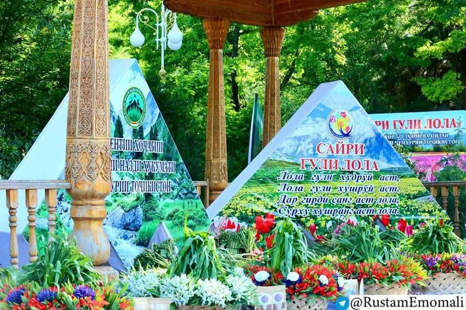Дар Боғи фарҳангӣ-фароғатии ба номи Абулқосим Фирдавсӣ даври ҷумҳуриявии озмуни «Сайри гули лола» баргузор гардид
