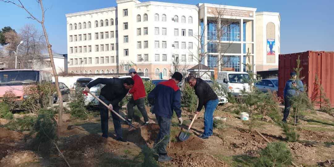 ШИНОНИДАНИ ДАРАХТОНИ ОРОИШӢ ВА ҲАМЕШАСАБЗ ДАР НОҲИЯИ СИНО